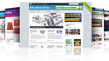 ready made blogs with PLR